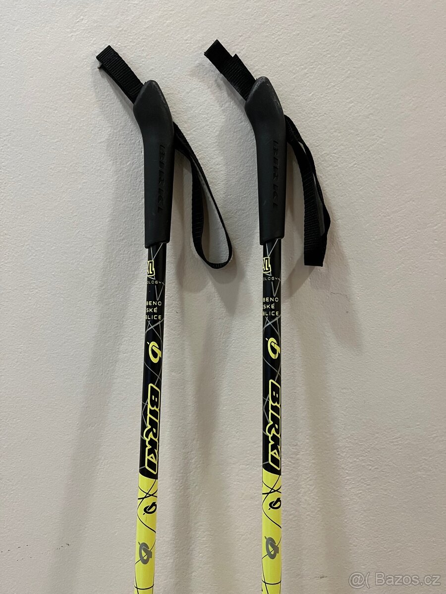 Běžkové hůlky Birki Matrix Junior, 125cm - 2