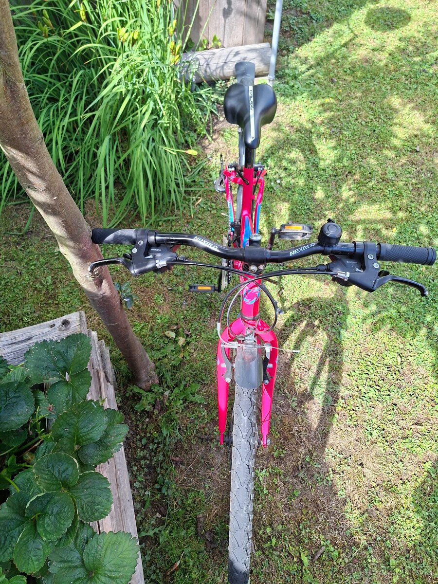 Dětské kolo GALAXY Ruby 24 - 2