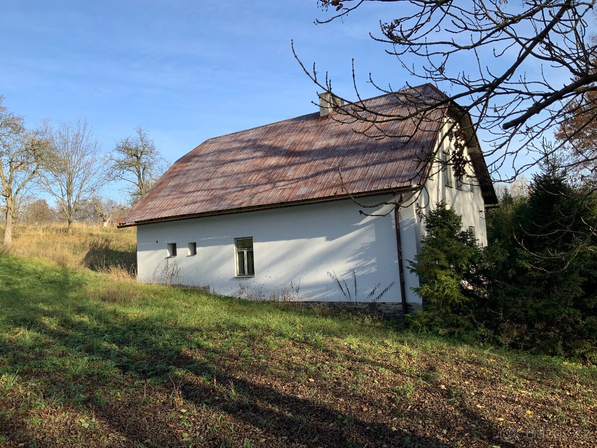 Pronajmu starší dům - 2