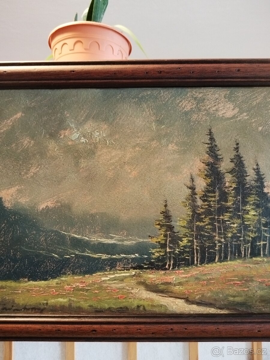 obraz HORSKÁ LOUKA, olej, sign. Trinkmoc - 2