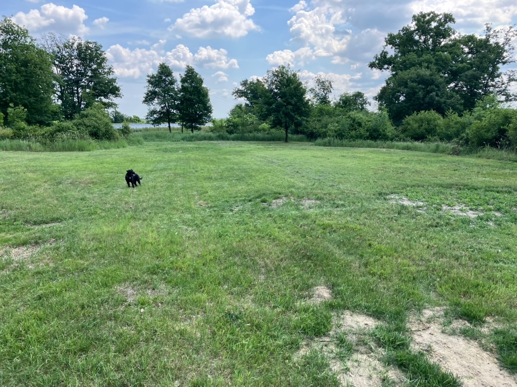 Prodám volnočasový pozemek 8.000m2 - 2