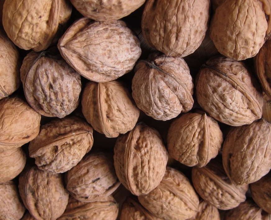 Prodám vlašské ořechy - 2