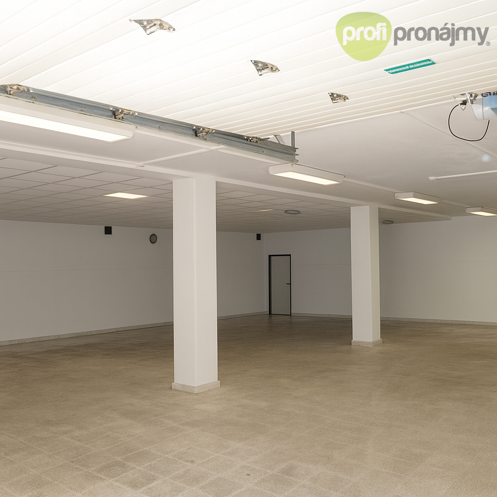 Pronájem přízemních skladových/prodejních prostor – 460 m² - 2