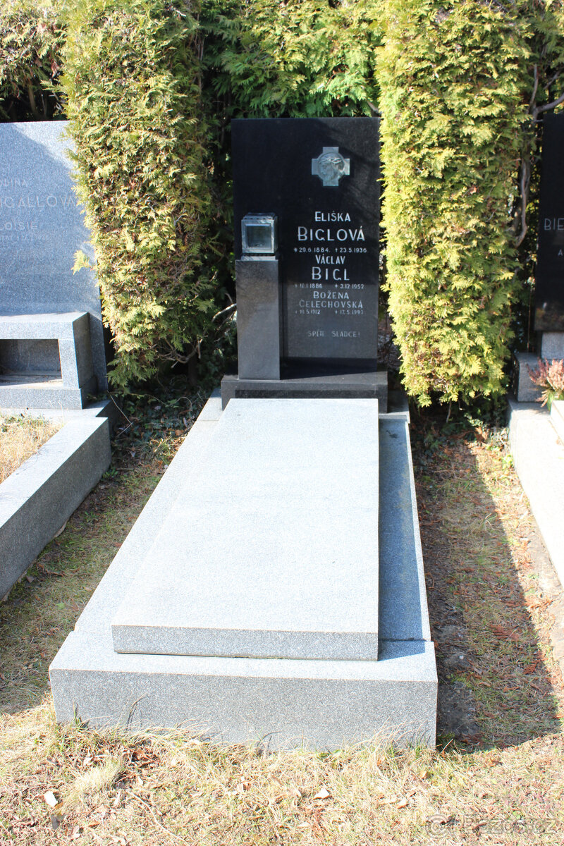 Hrobka s pomníkem - 2