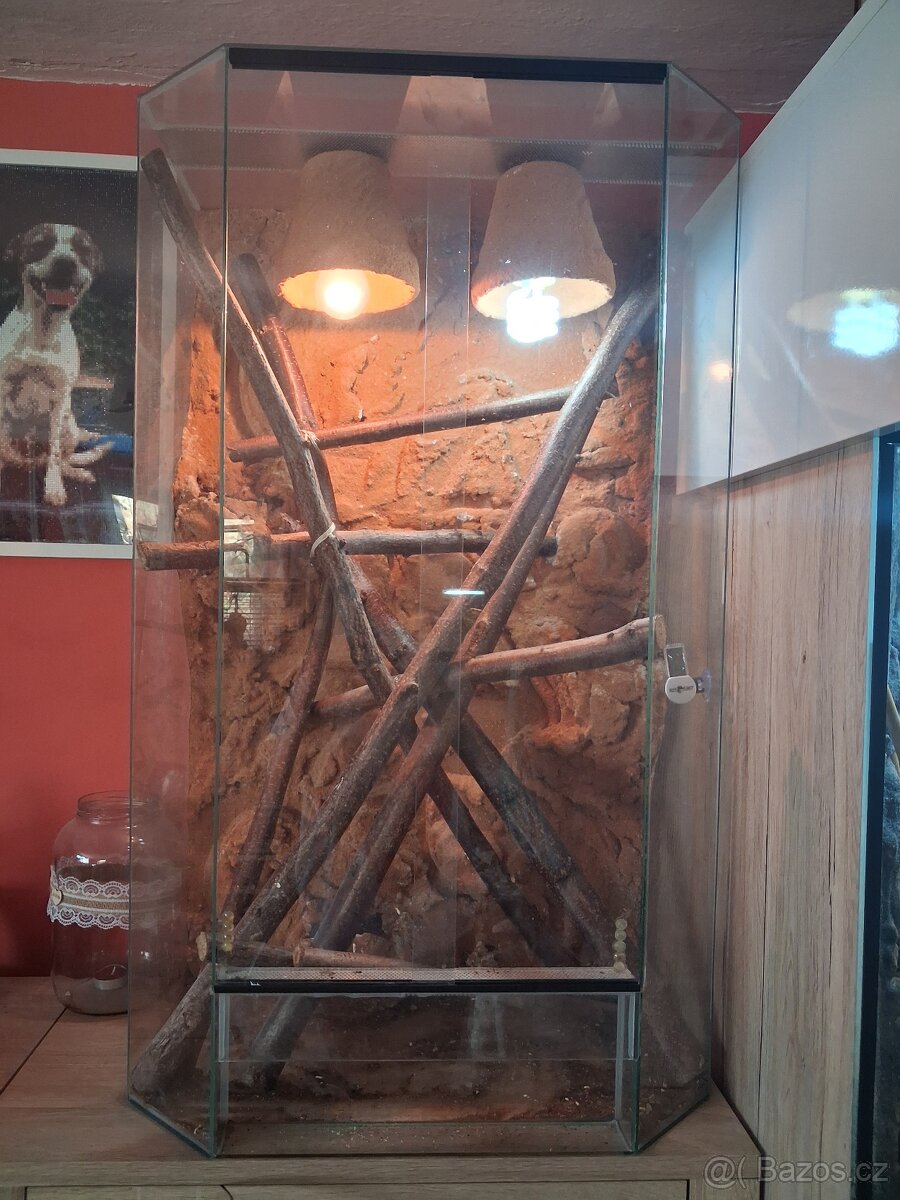 Terarium - 2