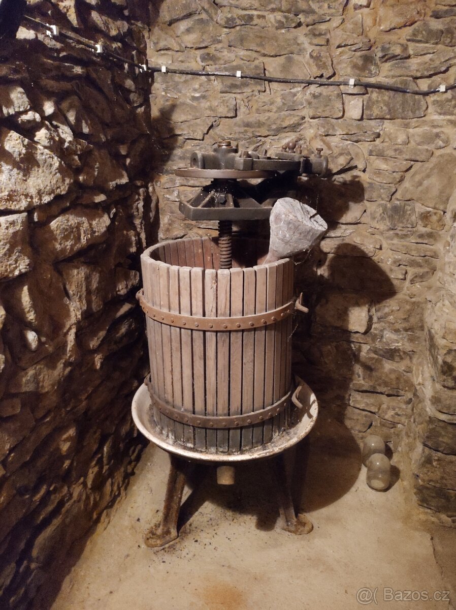 STARÝ LIS NA VINO - 2
