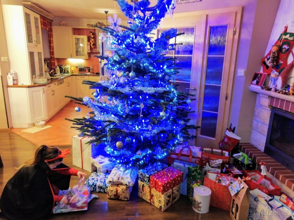 Vánoční ozdoby - 2