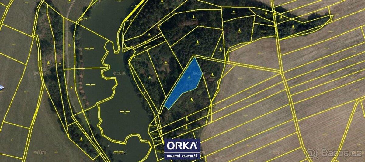 Prodej, Lesy, 8854m2 - Otinoves - 2