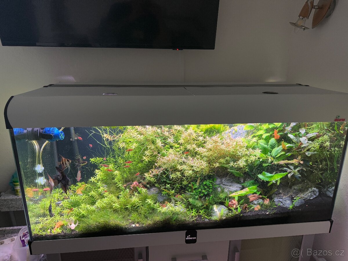 Akvarijní set pouze skříň, poklop, akvárium - 2