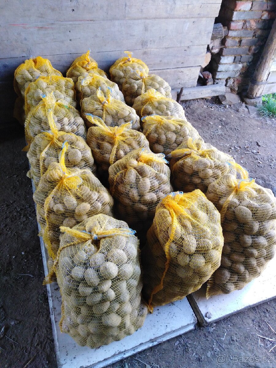 Prodám konzumní brambory - 2