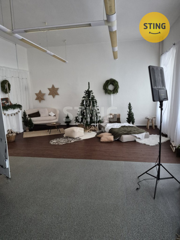 Pronájem komerčních prostor, 134094 - 2