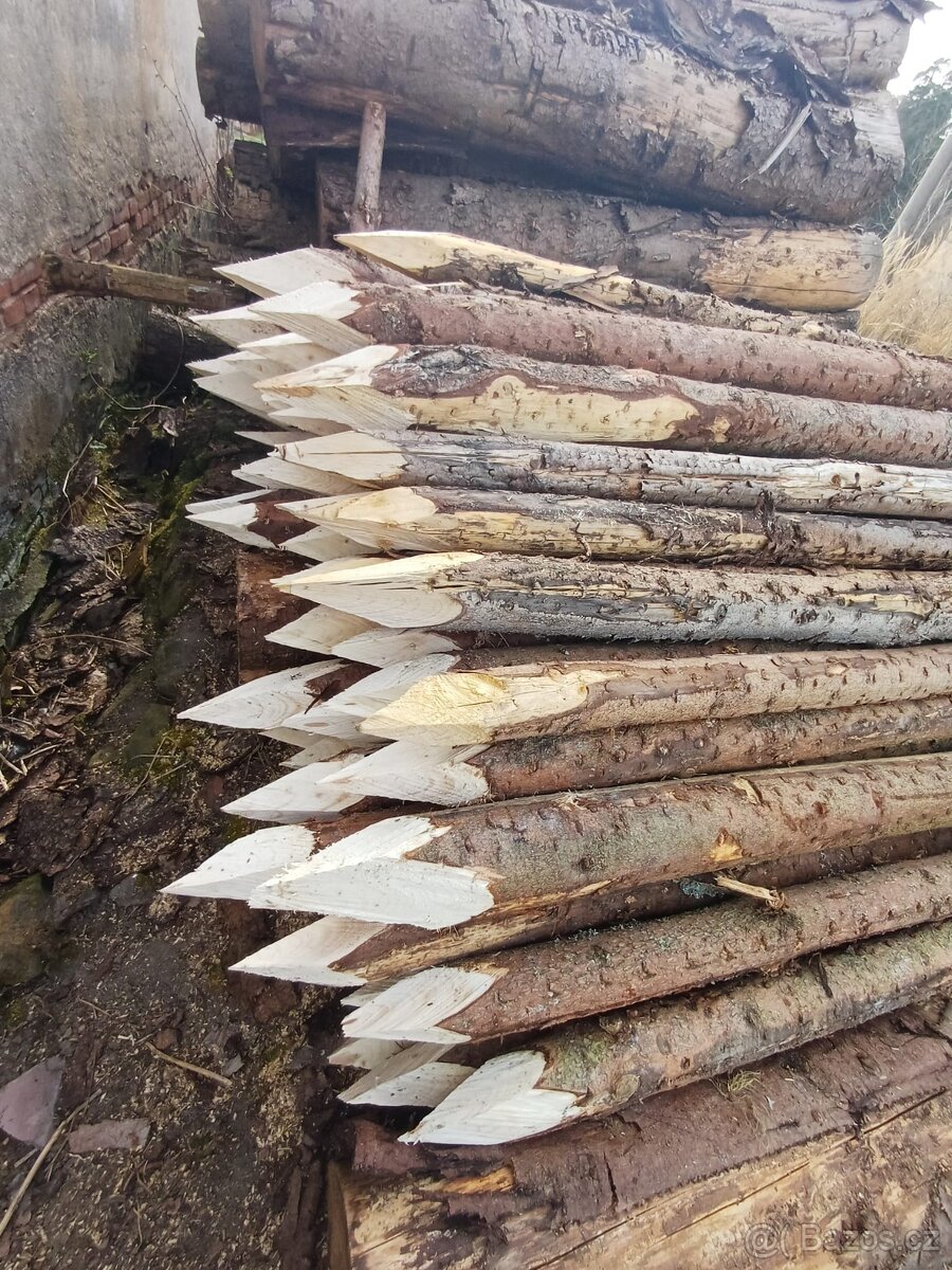 Smrkové kůly - 2