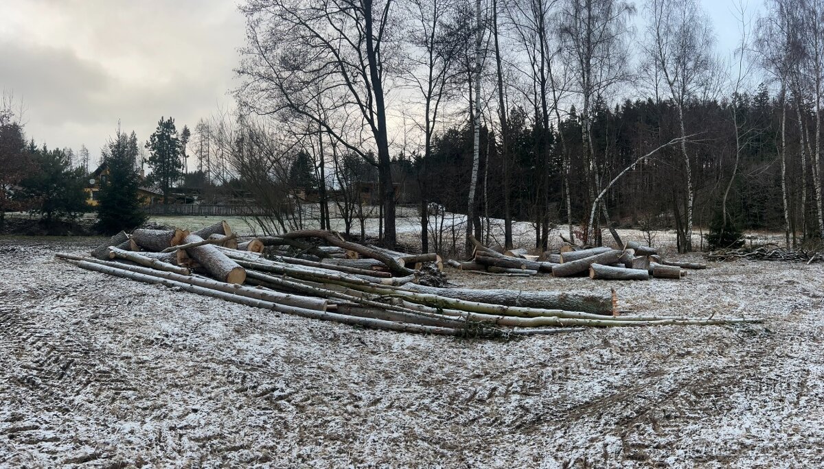 Dřevo na topení - 2