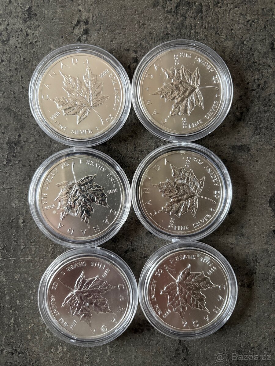 Stříbrné mince Maple Leaf 1 oz (2012) - 2