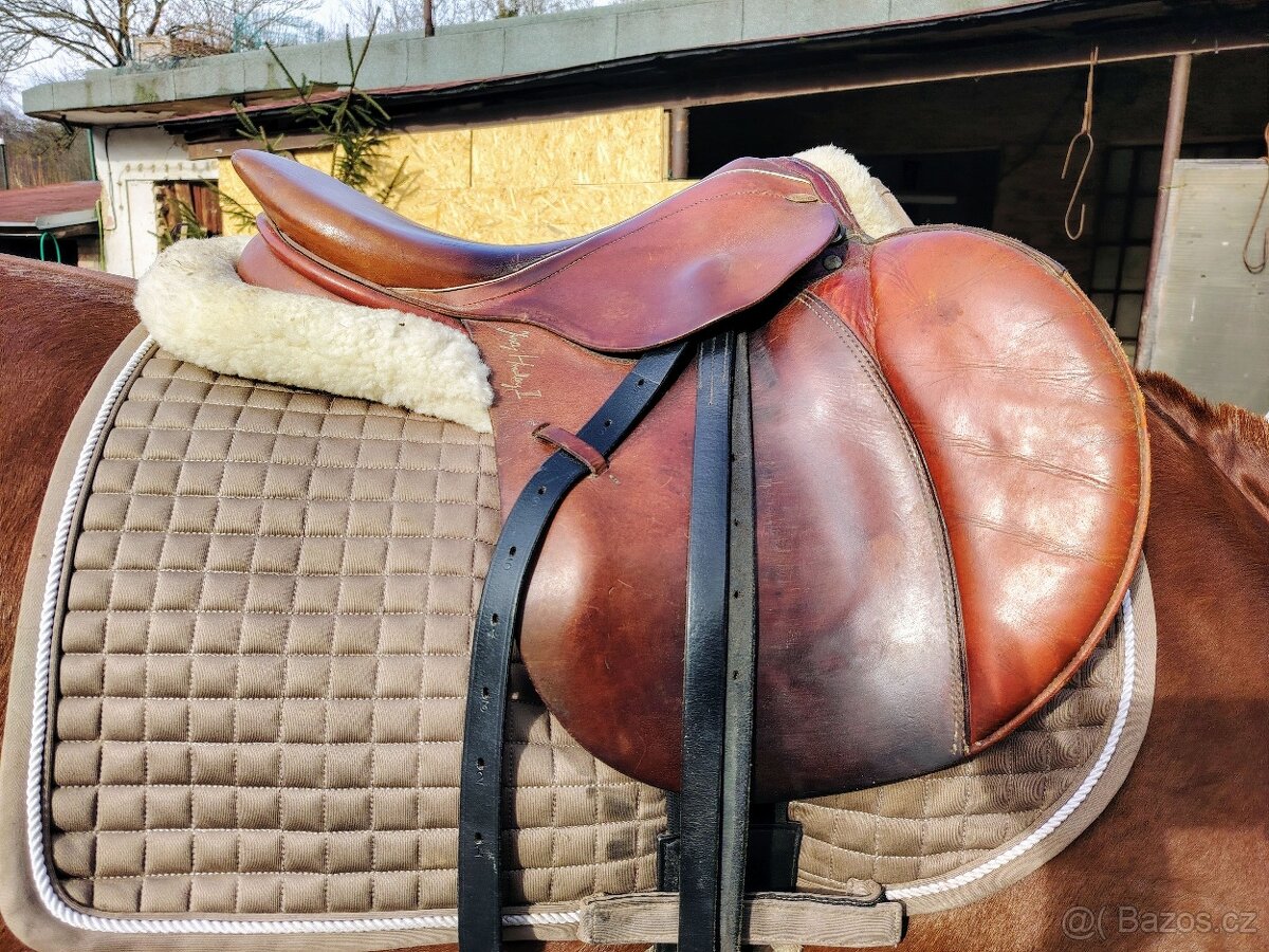 Hnědé sedlo kentaur - 2