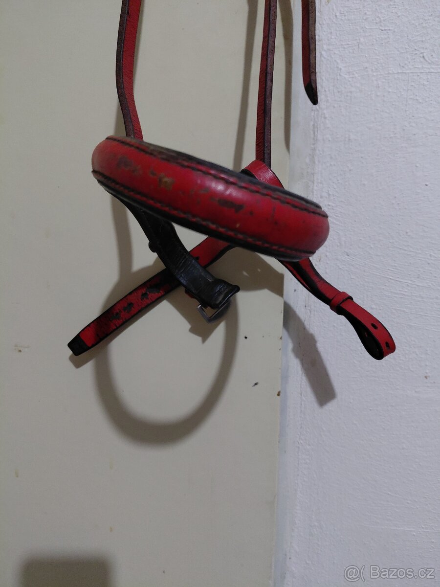 Červený nanosňík - 2