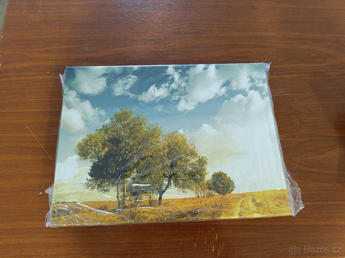 Obraz na plátně, 40x30cm - 2