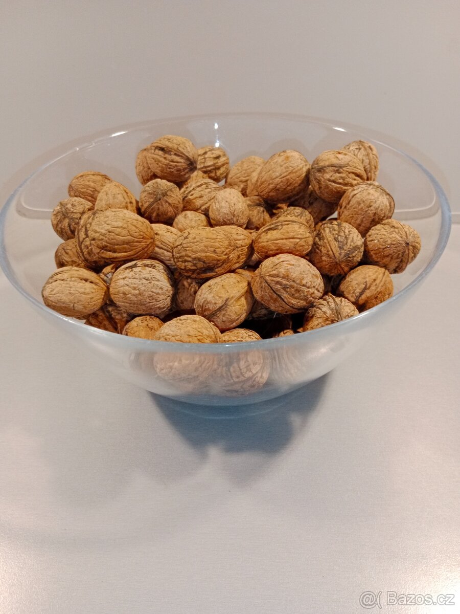 Vlašské ořechy - 2