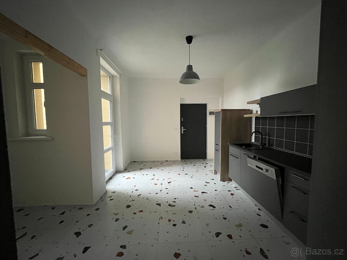 Pronájem bytu 2+1, Plzeň-Bory - 2