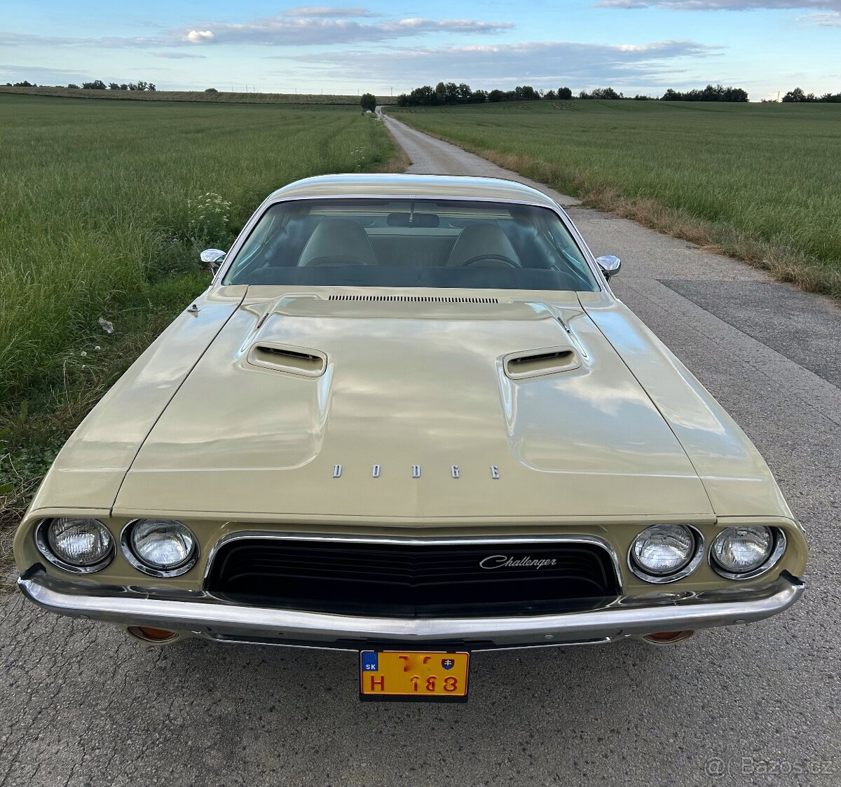 Dodge Challenger - 2