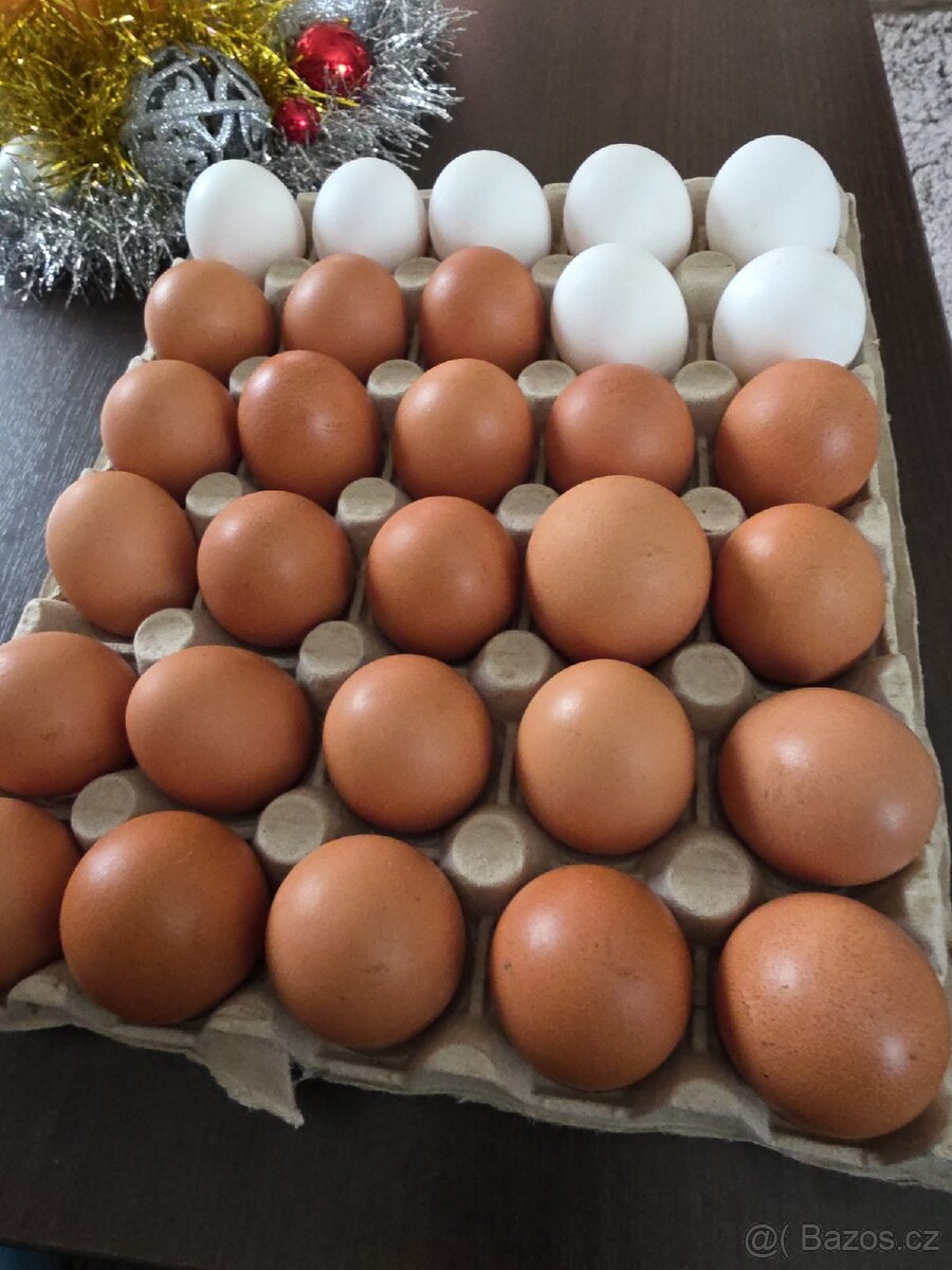 Domácí vejce kus.7.-kč.Tel.728311049 - 2