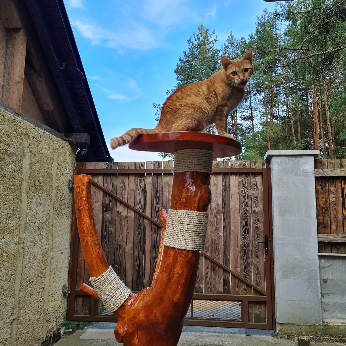 Kočičí strom - škrabadlo - 2