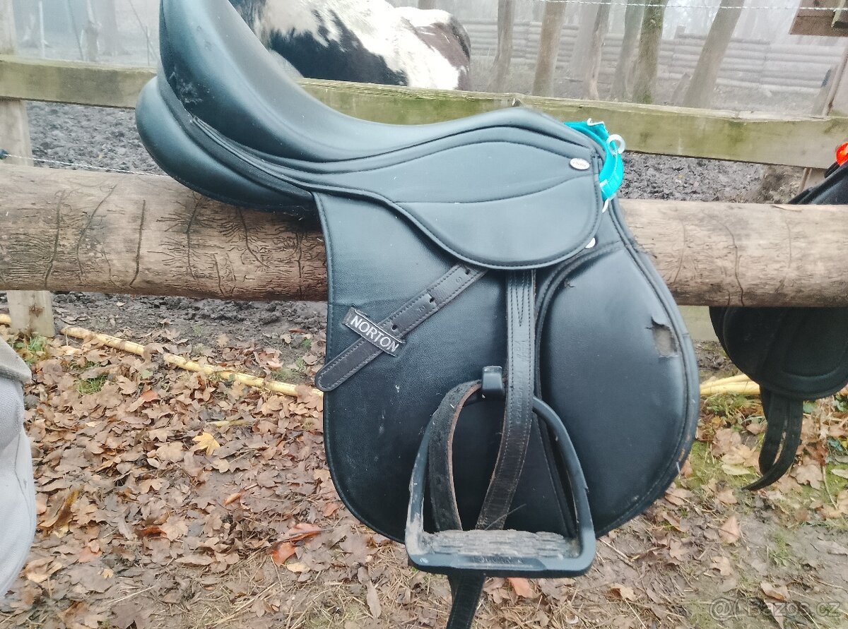 Norton rexina posedli 15 - 2