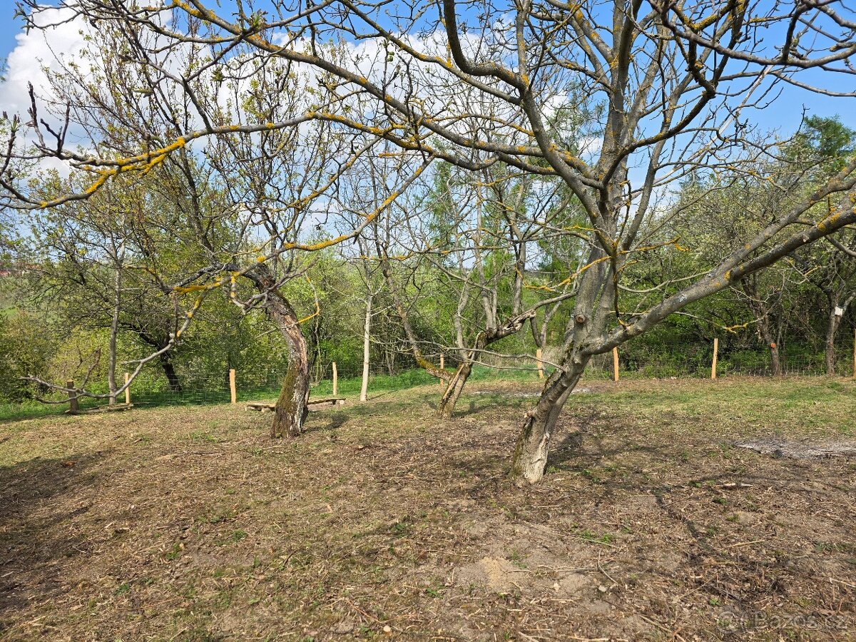 Zahrada Újezdec u Osvětiman - 2