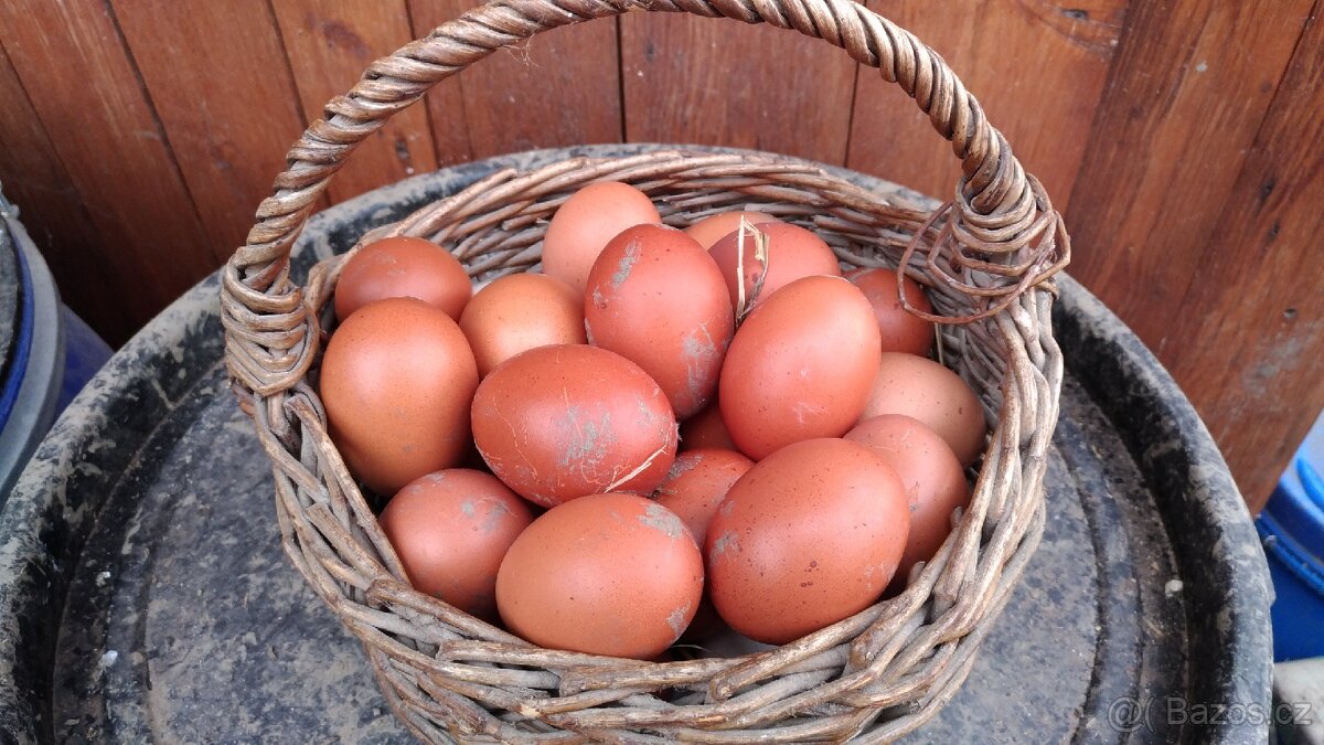 Maranska pšeničná - 2