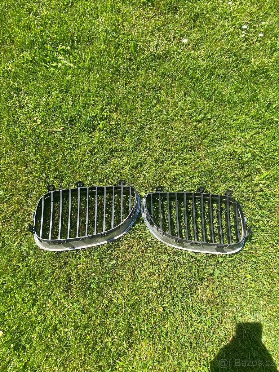 BMW e60 ledvinky - 2