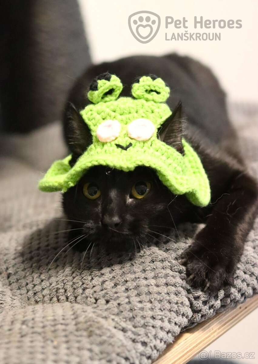 Bubli ❤ tulivá kočičí kráska ❤ - 2