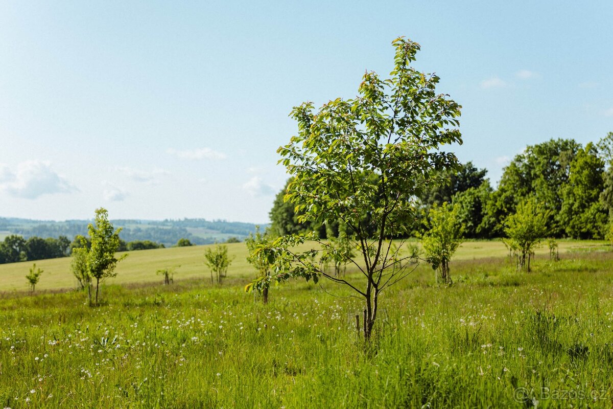 126.783m2 pozemků s velkým potenciálem rozvoje - 2
