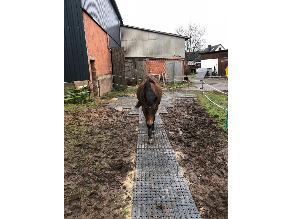 Stájové rohože, do boxů pro koně - sleva 7% - 2