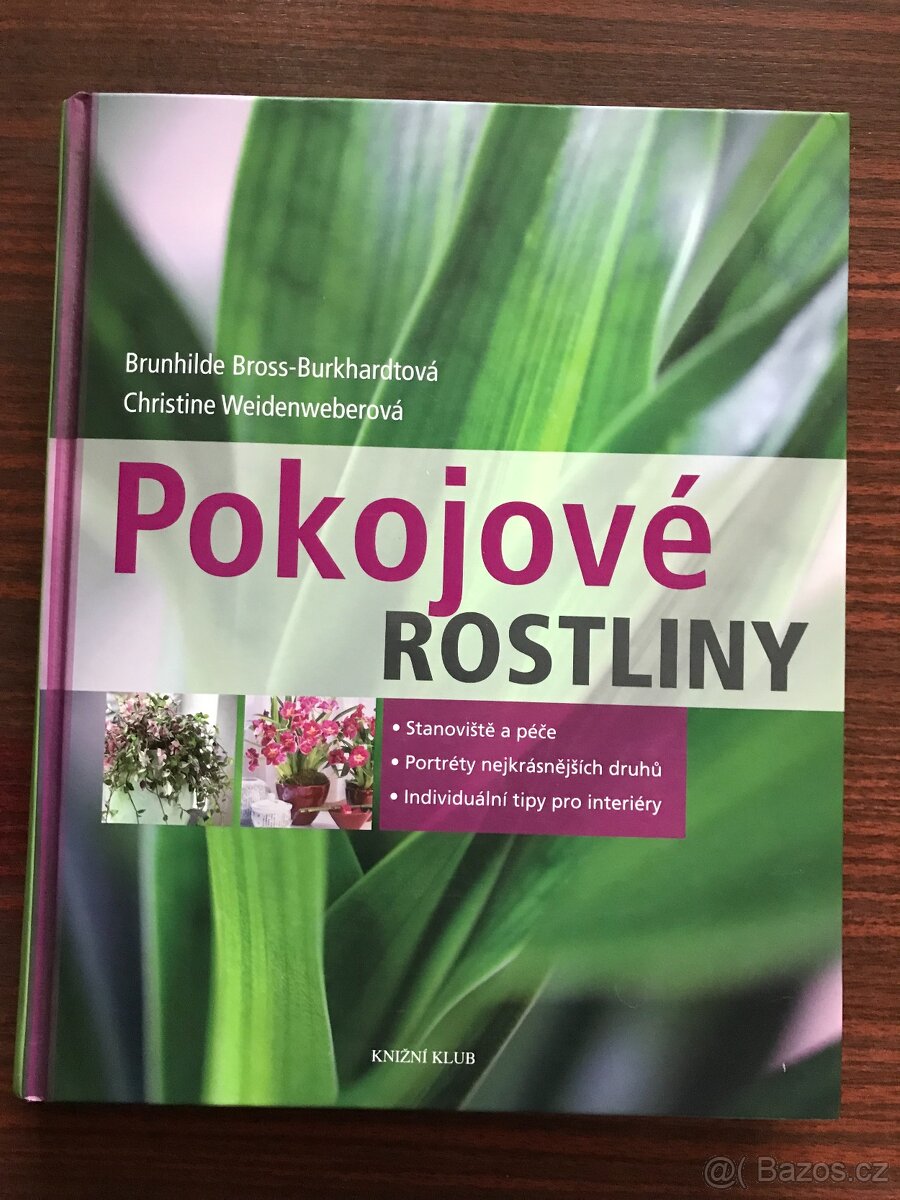 Pokojové rostliny, Balkónové rastliny,z - 2