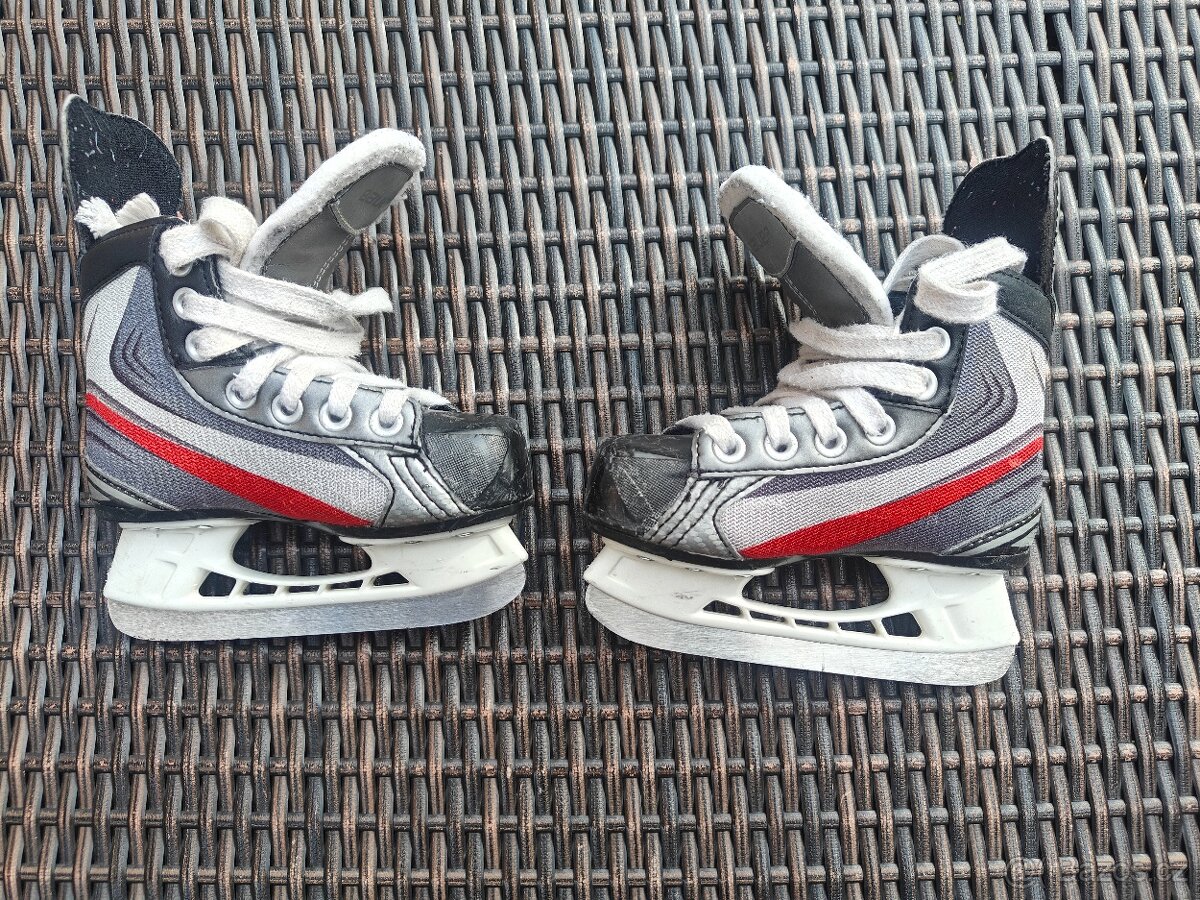 Bauer - 2