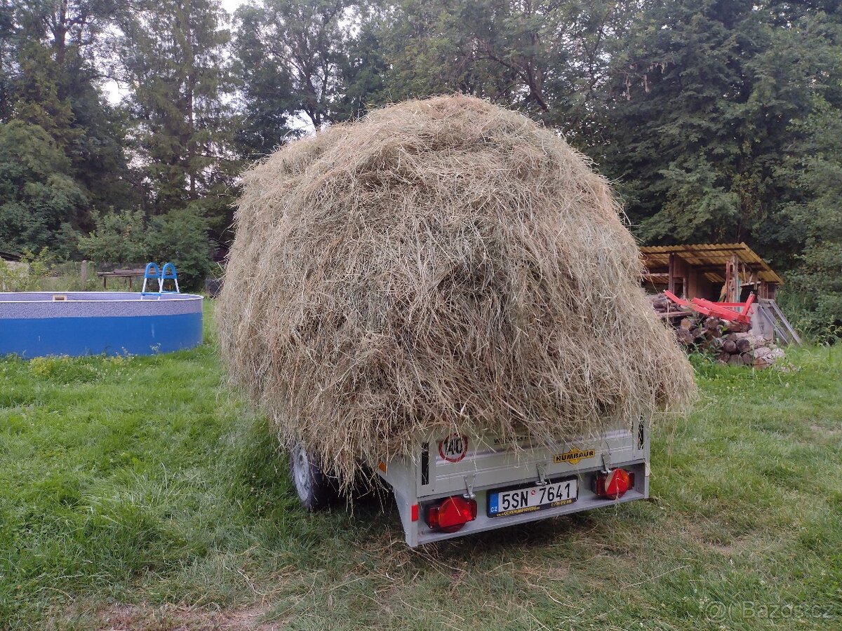 Čerstvé seno - 2