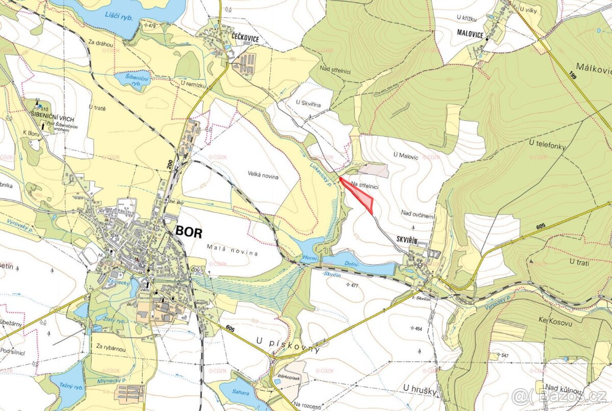 Zemědělská půda, prodej, Skviřín, Bor, Tachov - 2