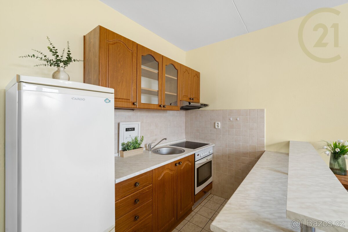 Útulný byt 2+kk v klidné části Líšně – Jírova - 2