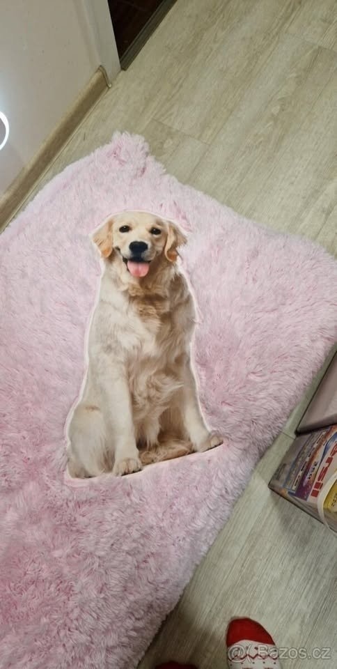 pelíšek pro psa - 2