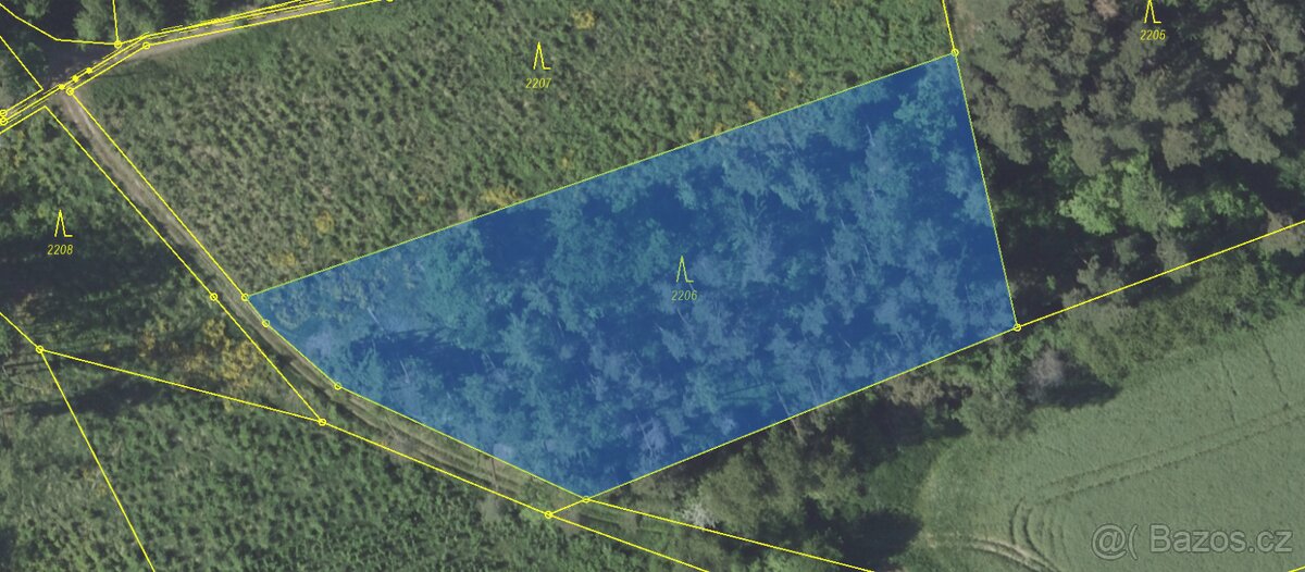 Prodám lesní pozemek v k. ú. Louňovice pod Blaníkem - 2