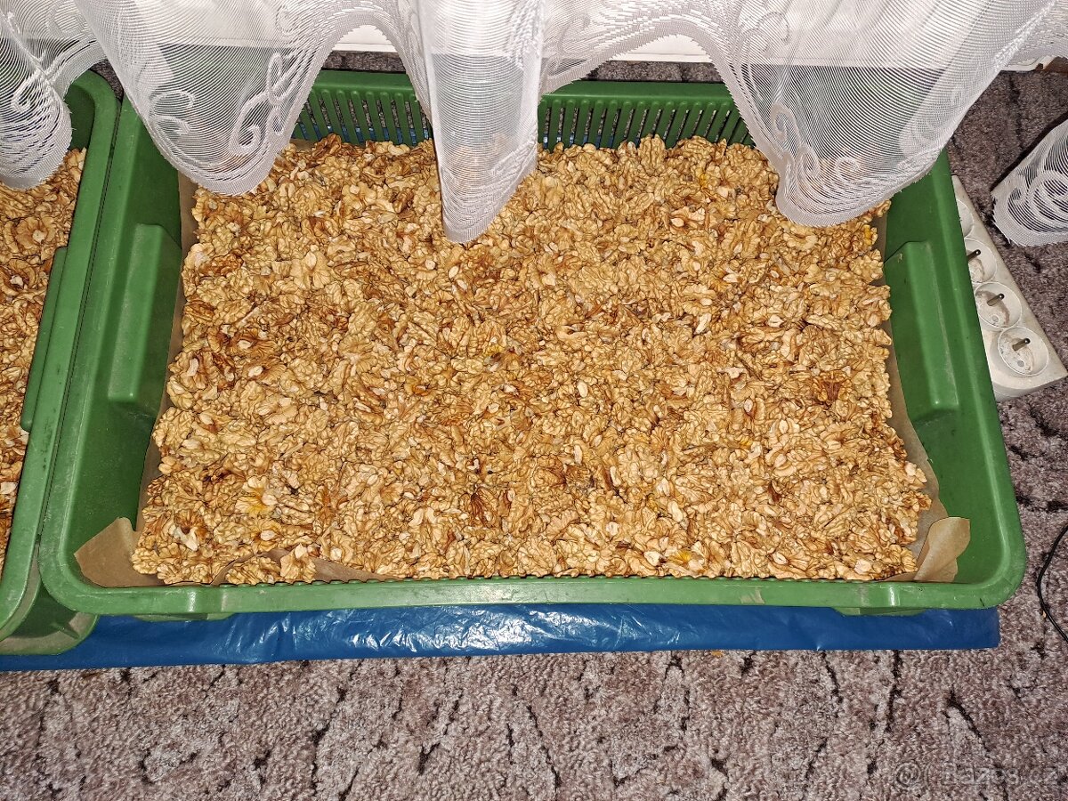Vlašské ořechy loupané letošní - 2