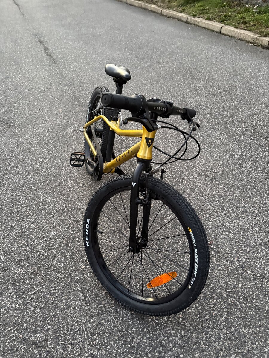 Rascal 20 zlaté - 2