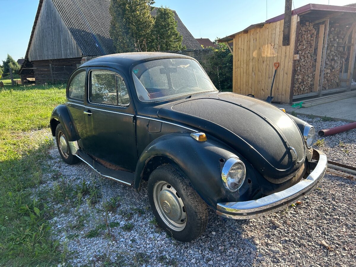 Volkswagen Brouk 1303 - 2