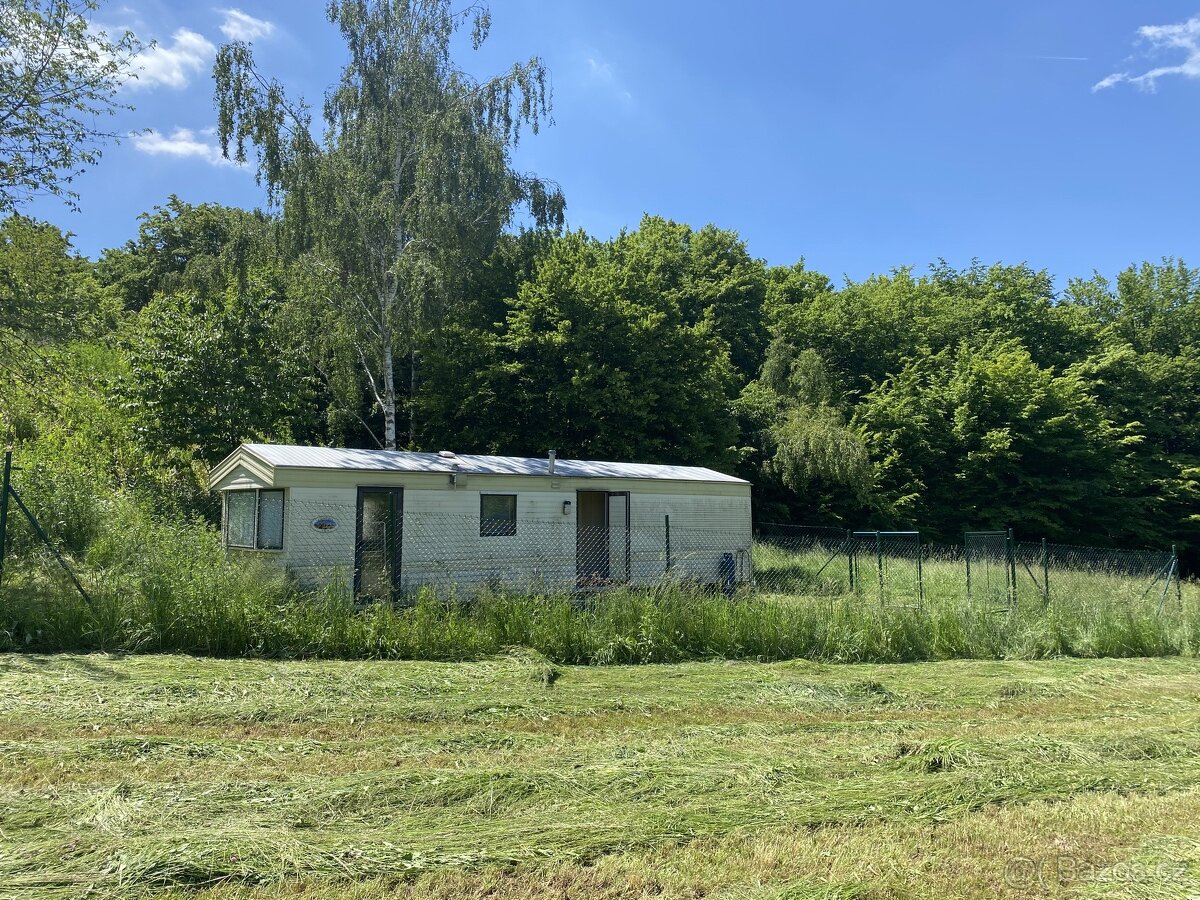 pronájem louky cca 24.000m2 chov koni - 2