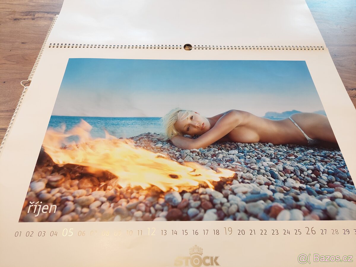 NÁSTĚNNÉ KALENDARE ROK 2008 a 2009 - 2