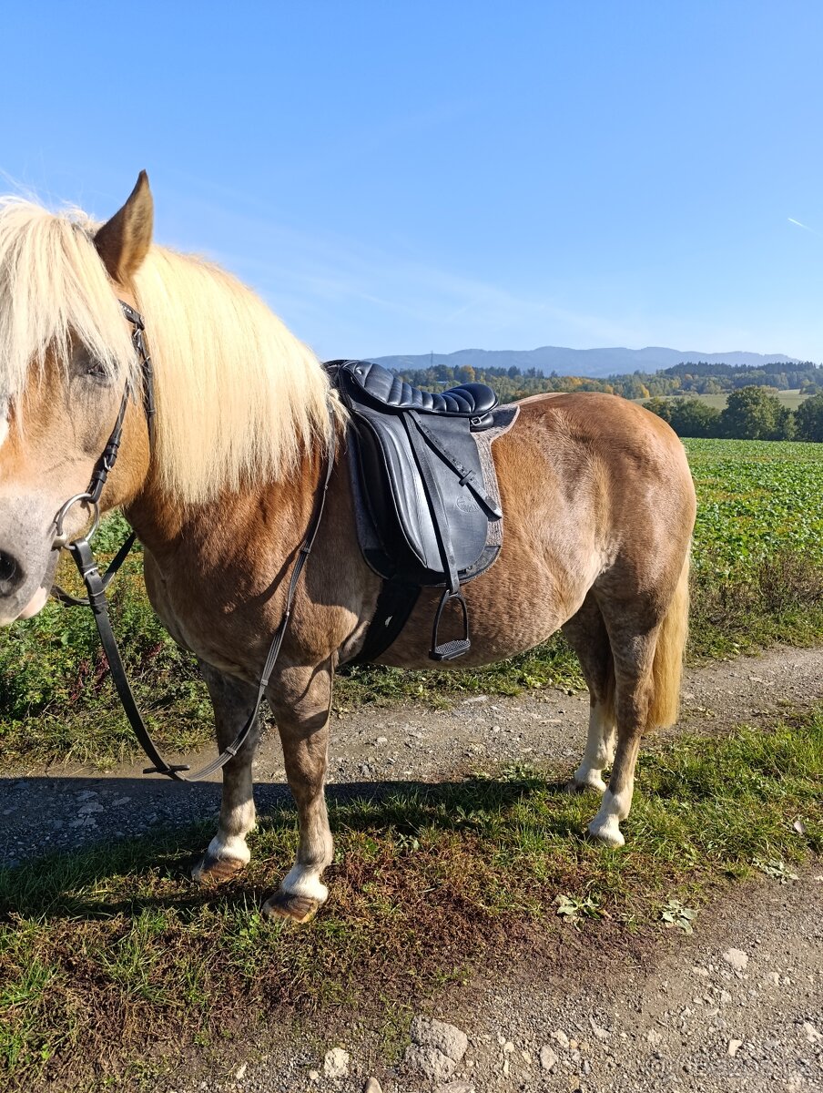 Turistické sedlo - 2