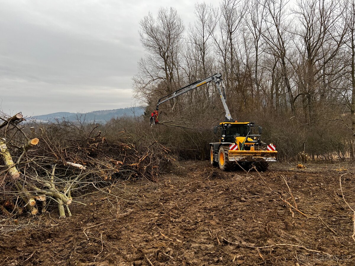 Jcb 4220, hydraulická ruka, Fastrac - 2