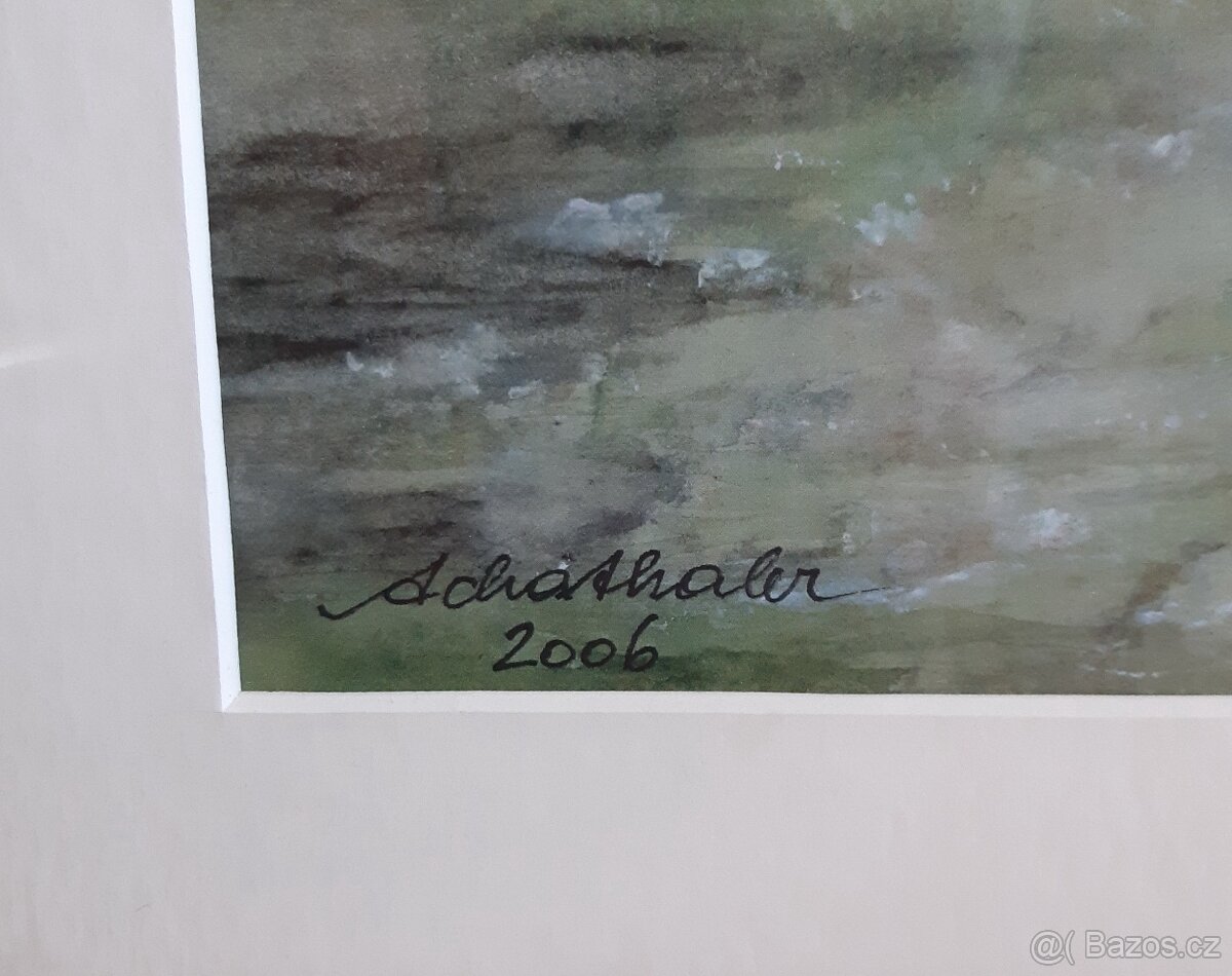 obraz Achathaler 2006 - 2