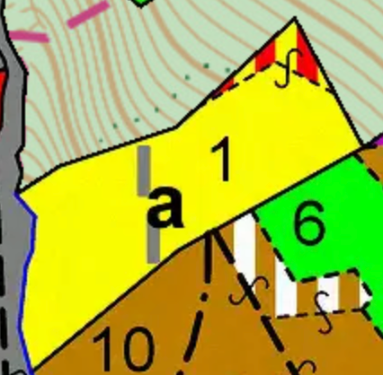 Prodej lesa k.ú. Štěpánov nad Svratkou - 2