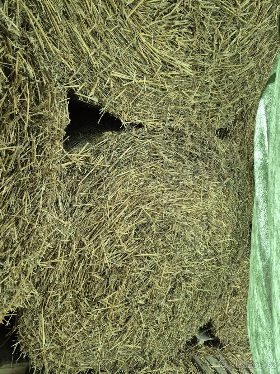 Prodám balíky slámy 140cm 34 kusů - 2